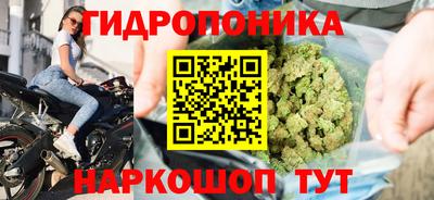 шишки Рыбинск